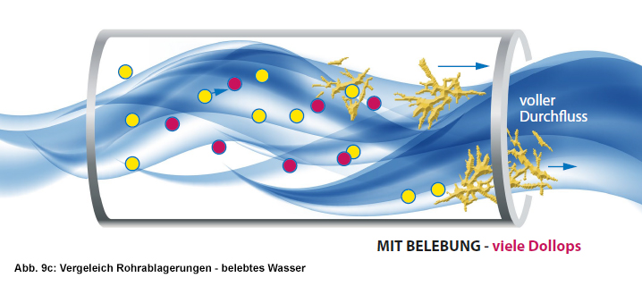 abbildung9c rohrablagerungen belebtes wasser